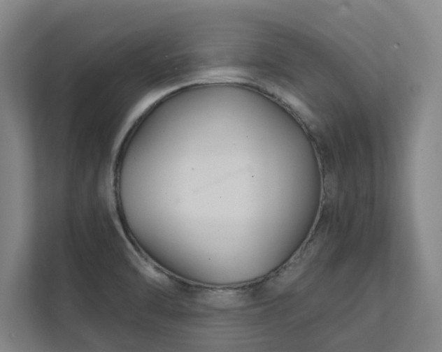 X0000111421470200907201038