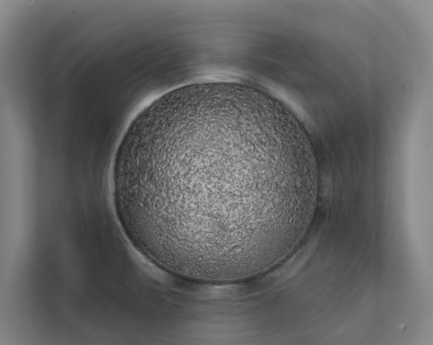 X0000111421471200907201038