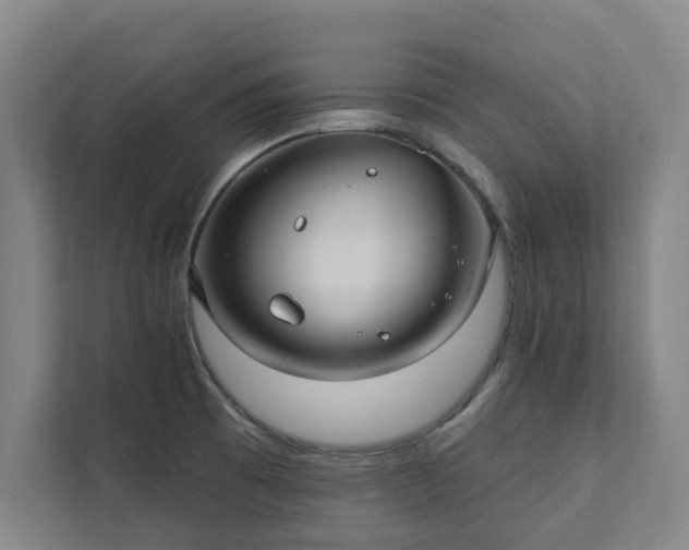 X0000111421473200907201038