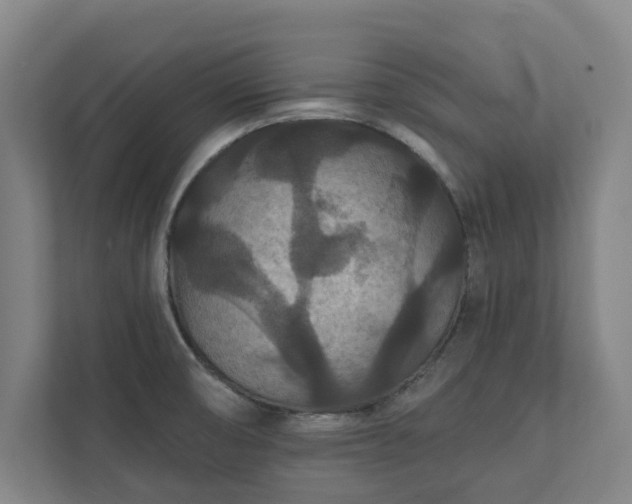 X0000111421474200907201038