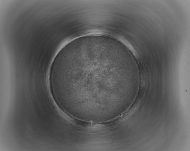 X0000111421475200907201038