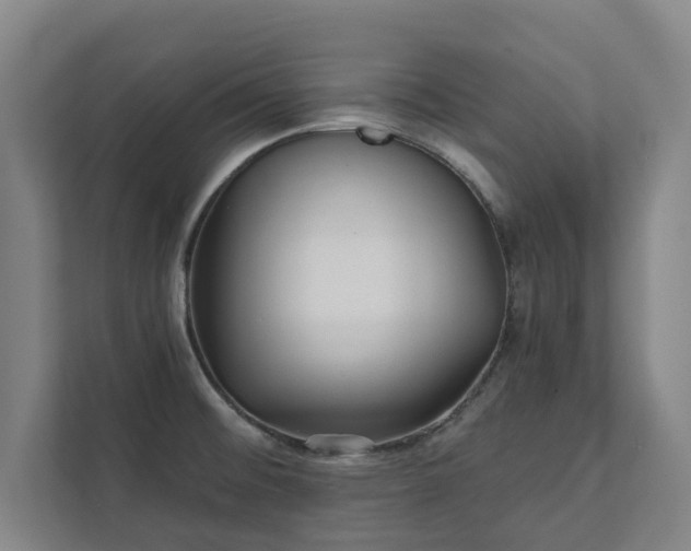 X0000111421476200907201038