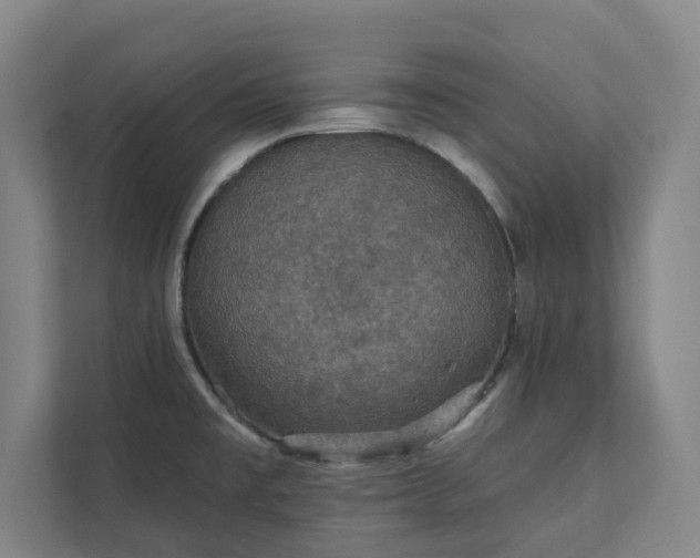 X0000111421477200907201038