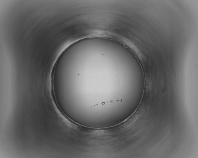 X0000111421479200907201038