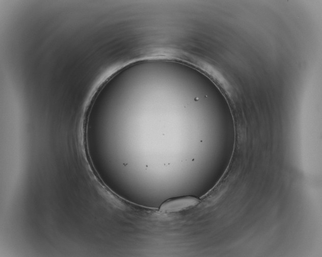 X0000111421480200907201038