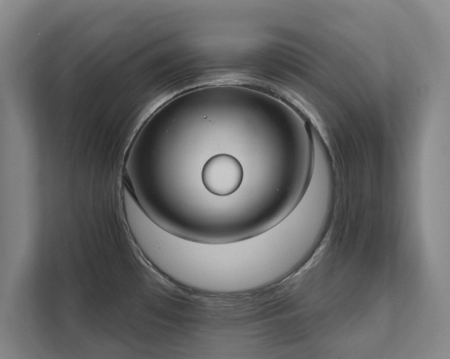 X0000111421481200907201038