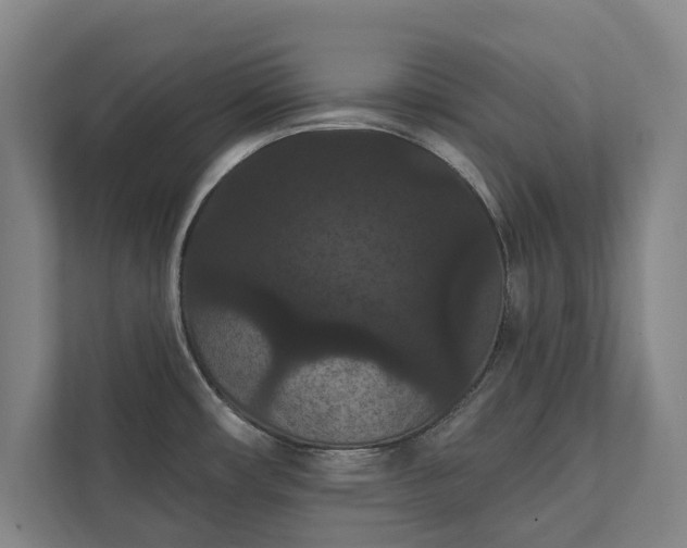 X0000111421482200907201038