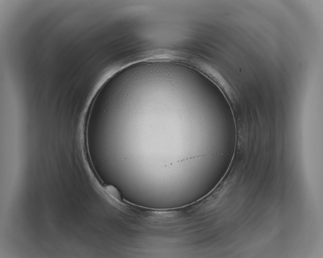 X0000111421483200907201038