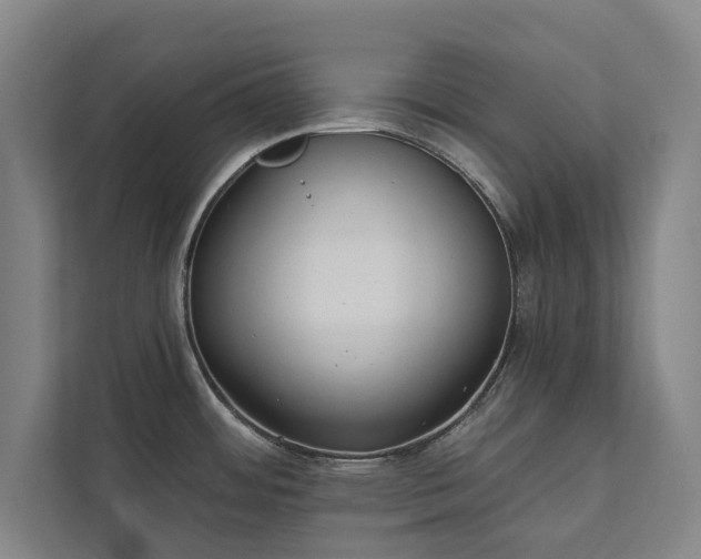 X0000111421484200907201038