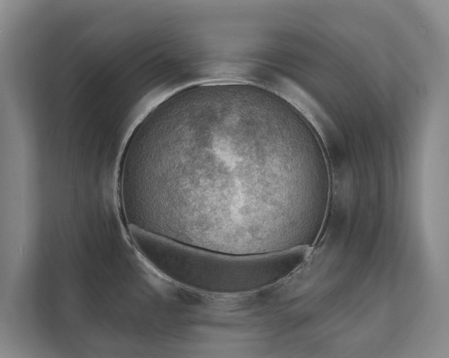 X0000111421485200907201038