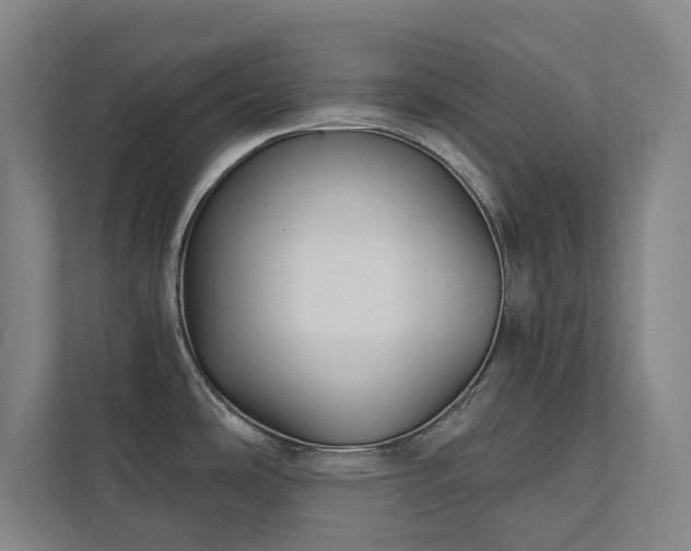 X0000111421486200907201038