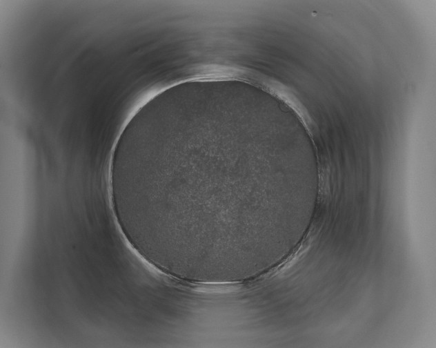 X0000111421487200907201038