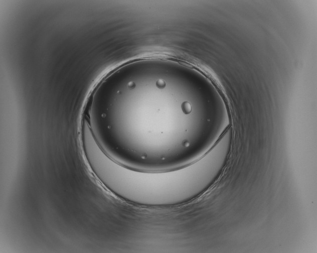 X0000111421488200907201038