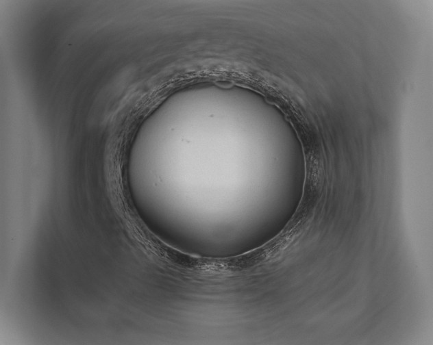 X0000111421489200907201037