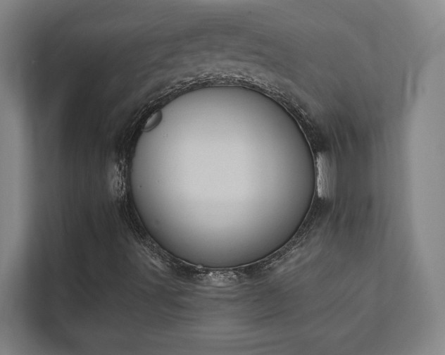 X0000111421491200907201037