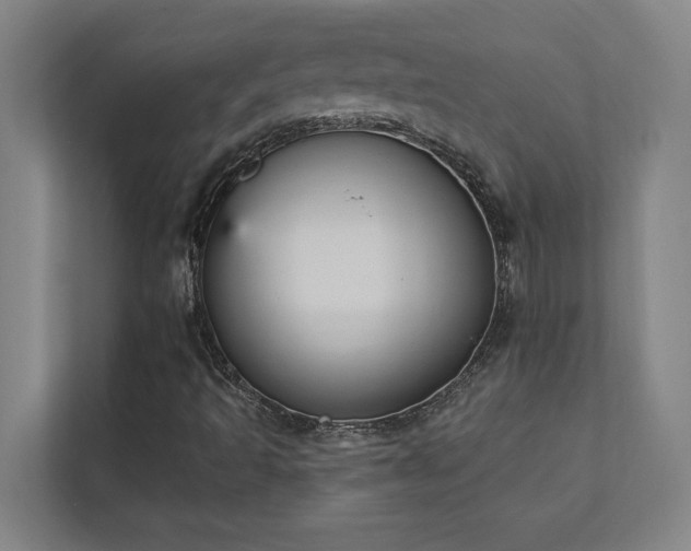 X0000111421493200907201037