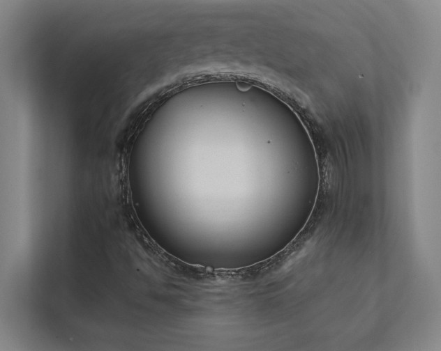 X0000111421494200907201037