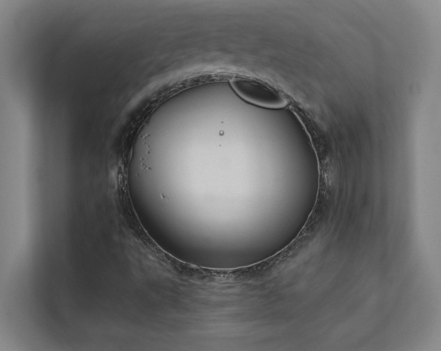 X0000111421495200907201037