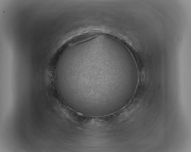 X0000111421496200907201037