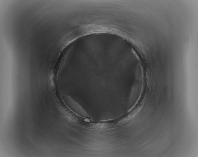 X0000111421497200907201037