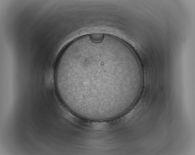 X0000111421498200907201037