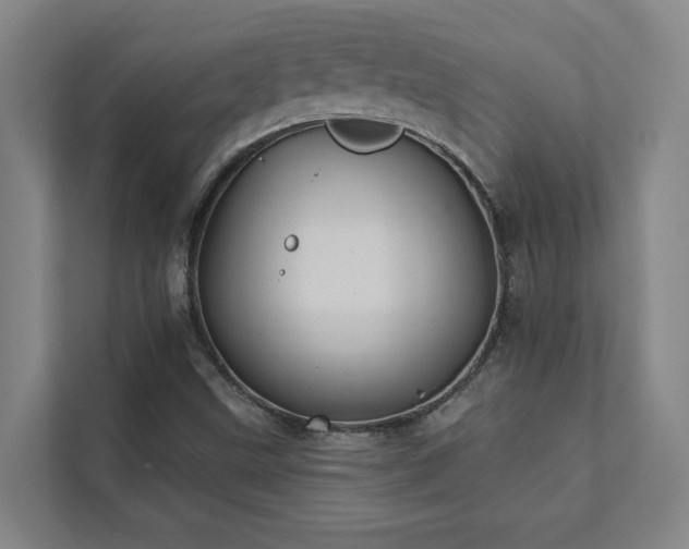 X0000111421499200907201037