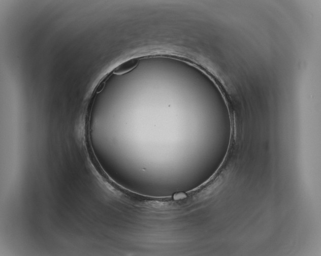 X0000111421500200907201037