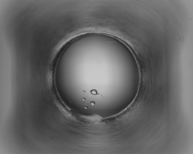 X0000111421503200907201037