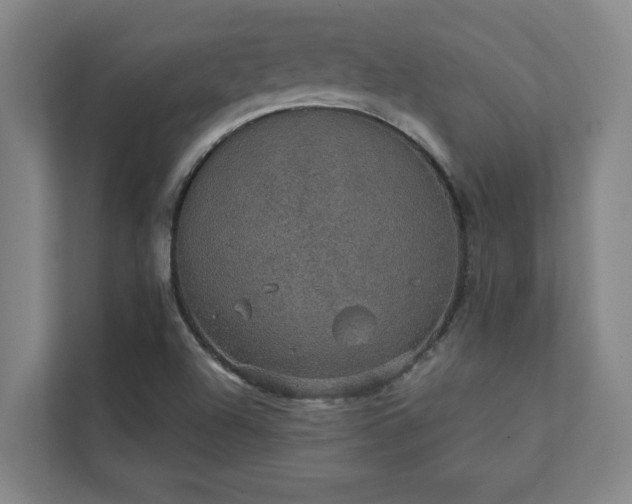 X0000111421504200907201037