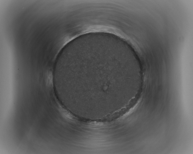 X0000111421505200907201037