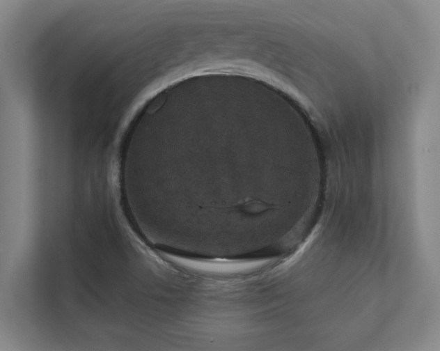 X0000111421506200907201037