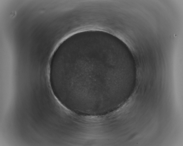 X0000111421508200907201037