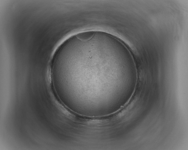 X0000111421510200907201037