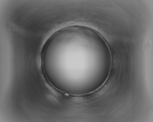 X0000111421511200907201037