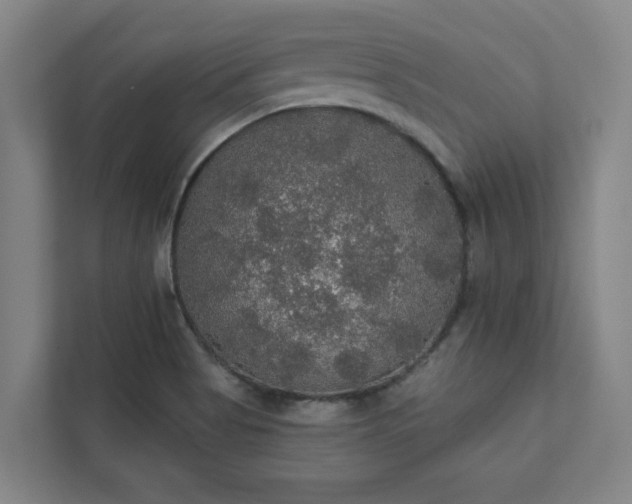 X0000111421513200907201037