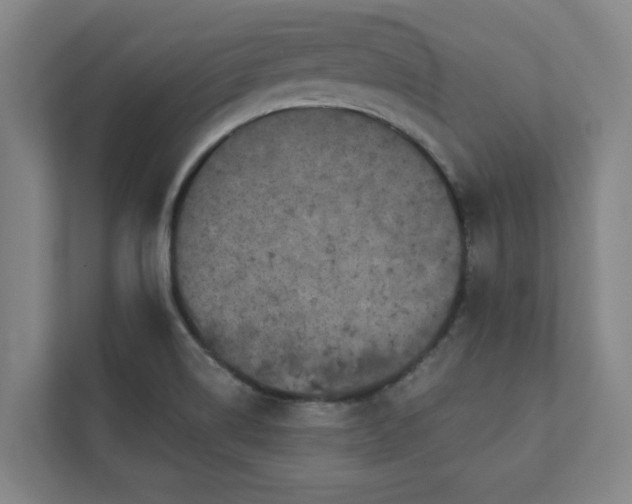 X0000111421514200907201037