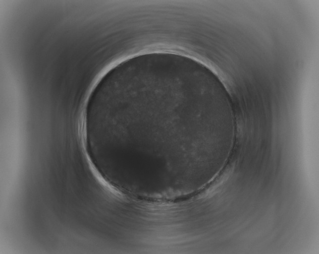 X0000111421515200907201037