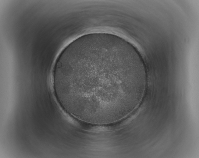 X0000111421517200907201037