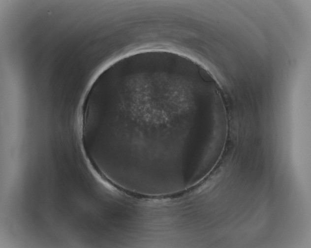 X0000111421519200907201037