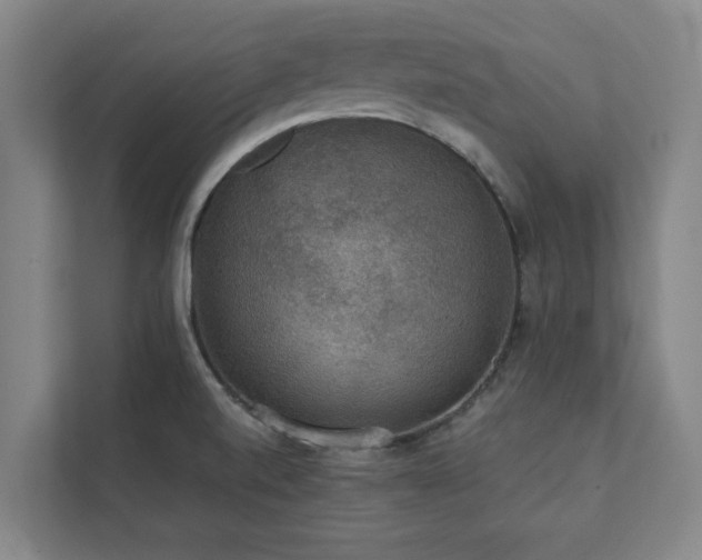 X0000111421520200907201037