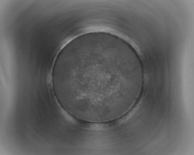 X0000111421521200907201037