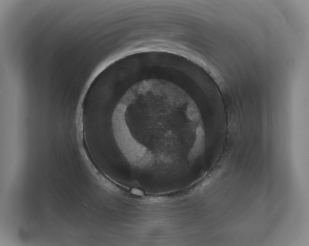 X0000111421522200907201037