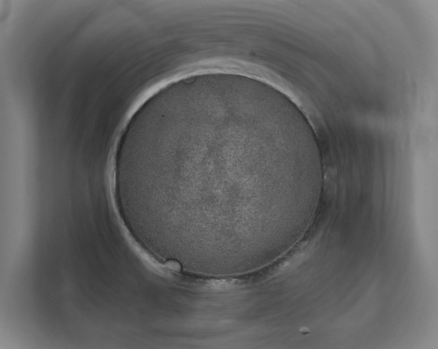 X0000111421523200907201037