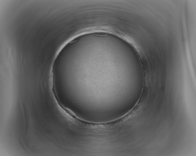 X0000111421524200907201037