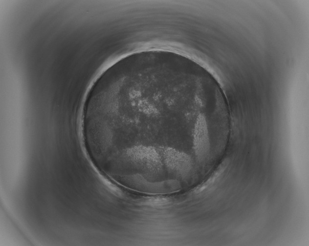 X0000111421525200907201037