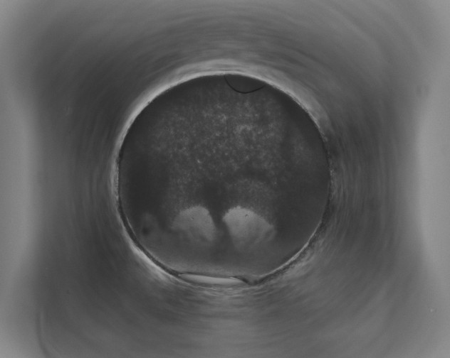 X0000111421527200907201037