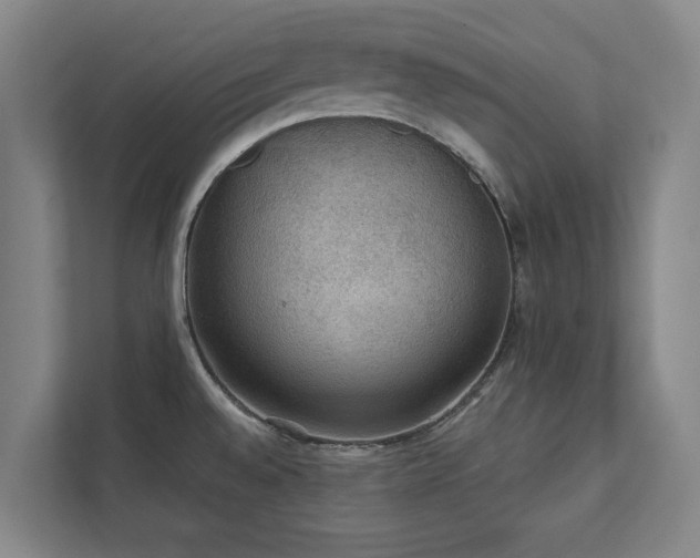 X0000111421528200907201037