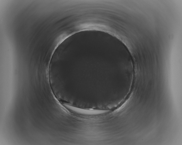 X0000111421529200907201037