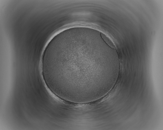 X0000111421531200907201037