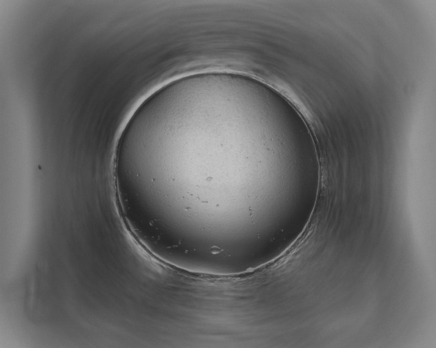 X0000111421532200907201037